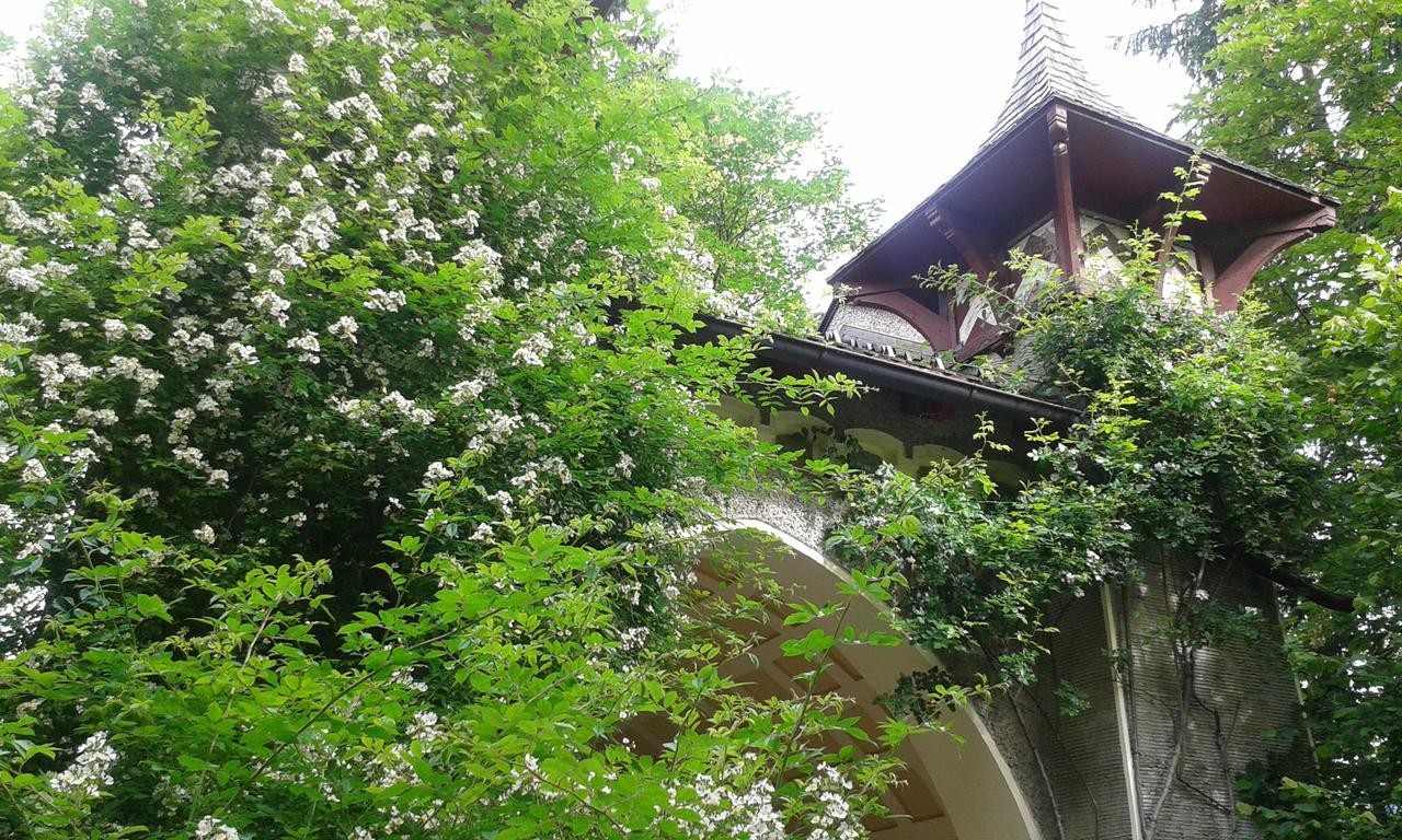 Hofbauer Villa Itter Exterior photo